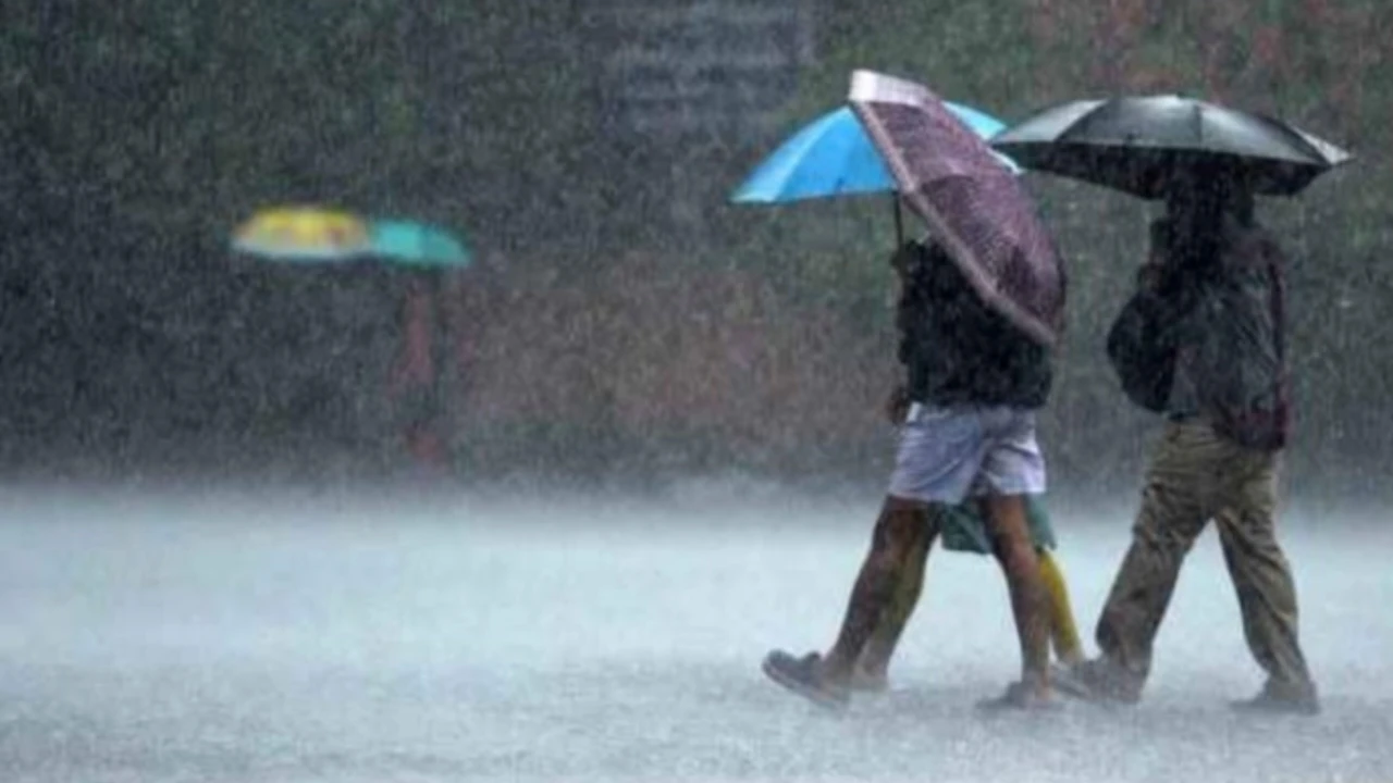 उत्तर भारत में होने वाला है मानसून का स्वागत, इन जगहों पर बरसेंगे बदरा, जानिए IMD की अपडेट