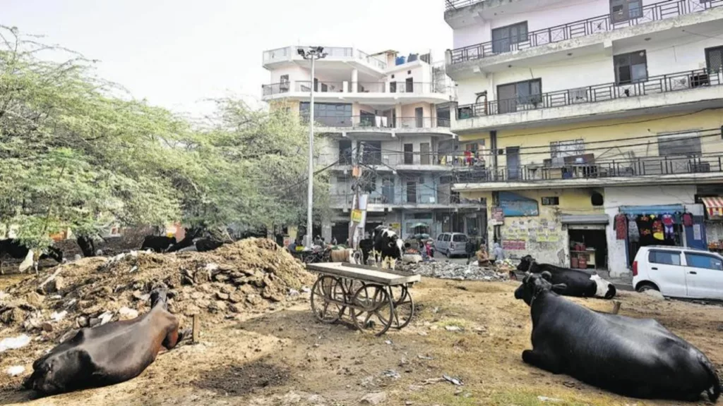 20240617 1023085844185167265601286