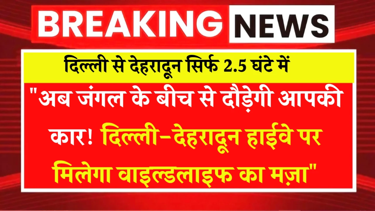 “अब जंगल के बीच से दौड़ेगी आपकी कार! दिल्ली-देहरादून हाईवे पर मिलेगा वाइल्डलाइफ का मज़ा”